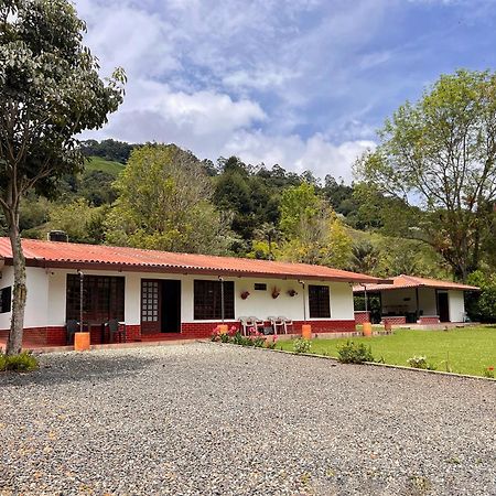 Paraiso Cocora Salento Bagian luar foto